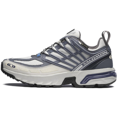 サロモン ACS プロ Salomon ACS Pro GORE-TEX "Lunar Rock/Grisaille/Plum Kitten" L47866900