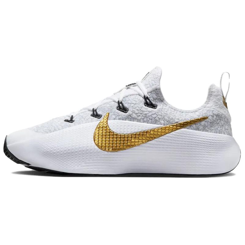 ナイキ レブロン Nike LeBron TR1 "Wolf Grey/White/Bronze/Metallic Gold" FJ6151-006
