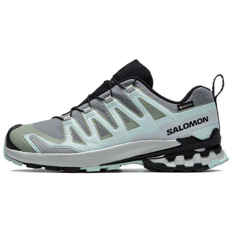 サロモン XA プロ Salomon Women's XA Pro 3D V9 GORE-TEX "Quiet Shade/Lily Pad/Blue Haze" L47823100