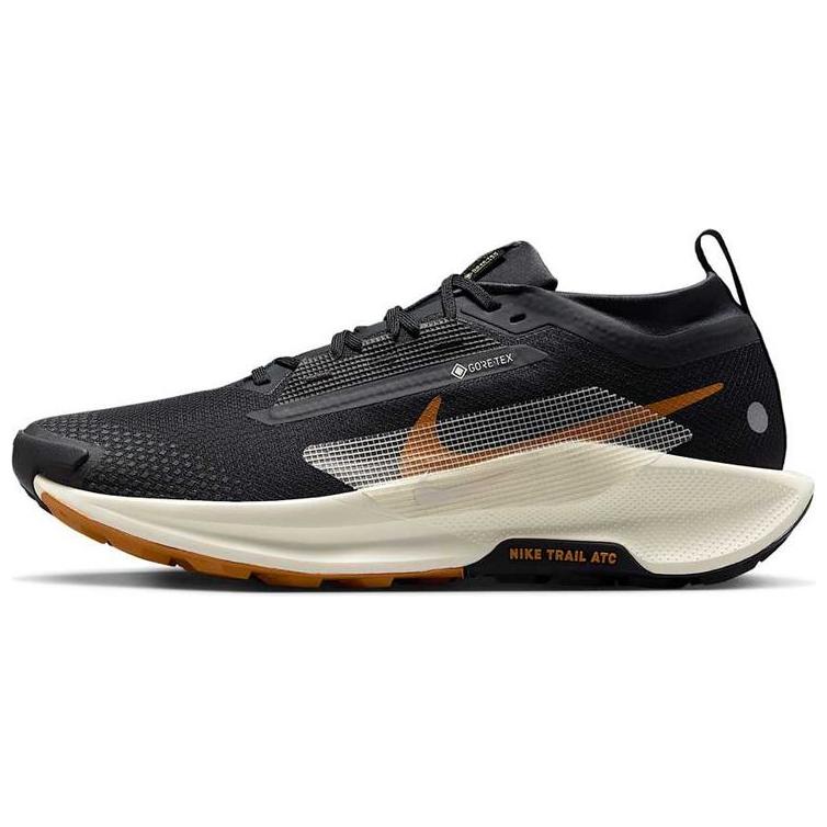 ナイキ ペガサス Nike Pegasus Trail 5 GORE-TEX "Off Noir/Black/Monarch/Pale Ivory" FQ0908-007