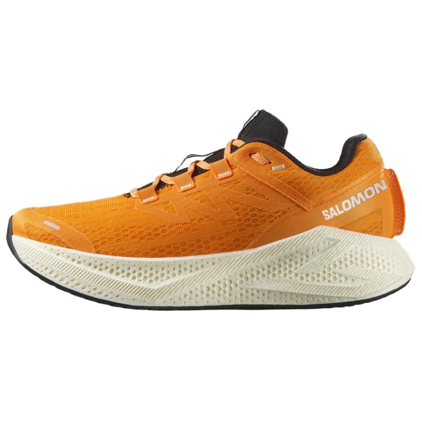 サロモン エアログライド Salomon Aero Glide 3 "Turmeric/White/Black" L47756200
