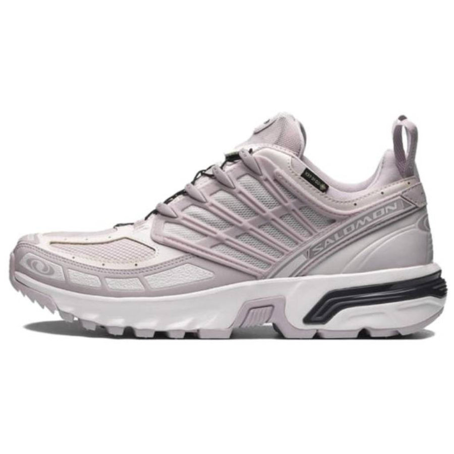 サロモン ACS プロ Salomon ACS Pro GORE-TEX "Cloud Gray/Lilac Ash/Nine Iron" L47599600
