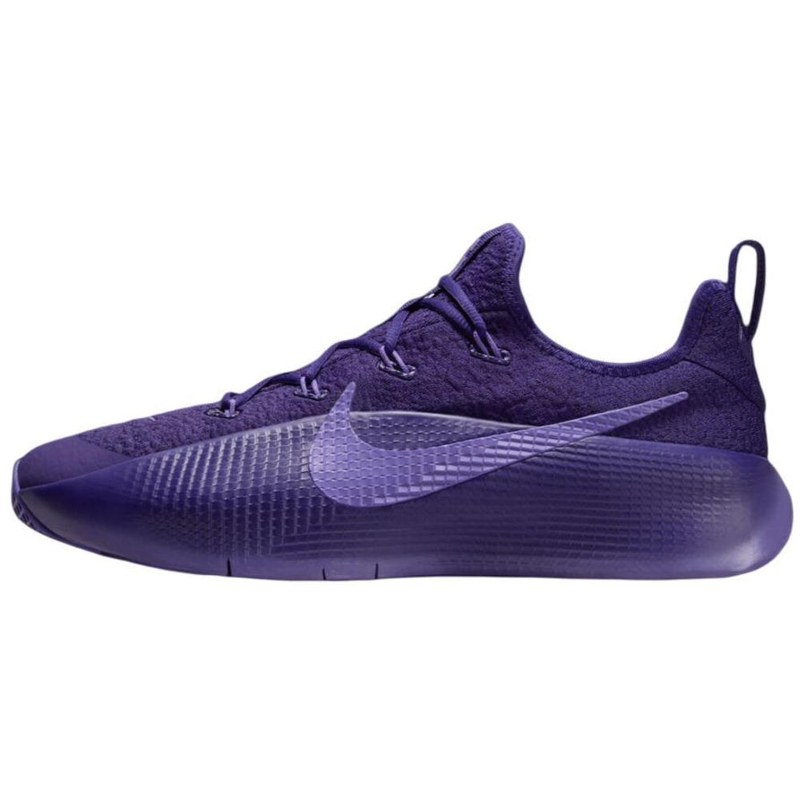 ナイキ レブロン Nike LeBron TR 1 "Purple Rain" FJ6151-500