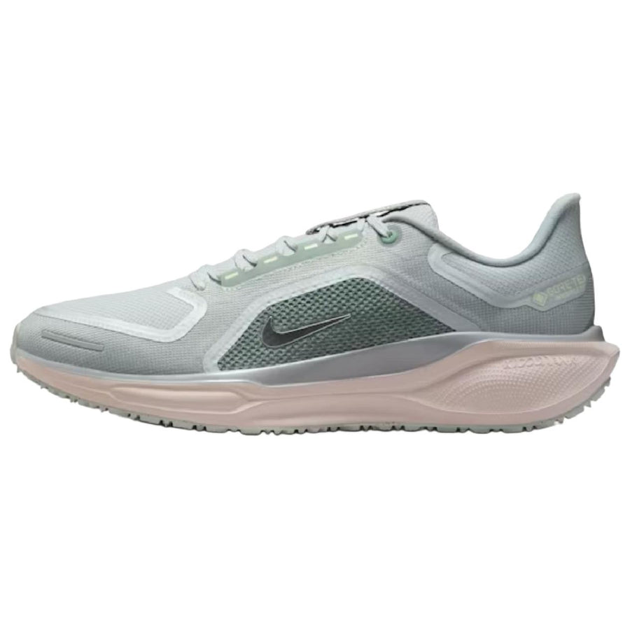 ナイキ ペガサス Nike Pegasus 41 GORE-TEX "Light Pumice/Pure Platinum/Silt Red/Metallic Silver" FQ1356-007