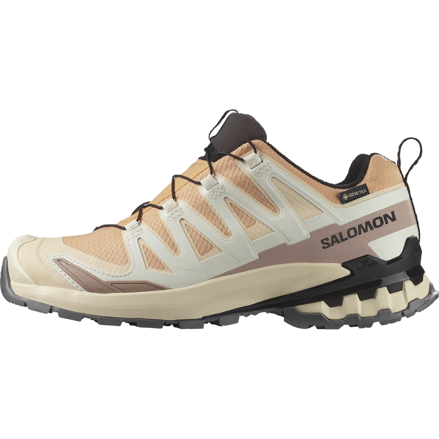 サロモン XA プロ Salomon Women's XA Pro 3D V9 GORE-TEX "Hazelnut/Tender Peach/Black" L47817600