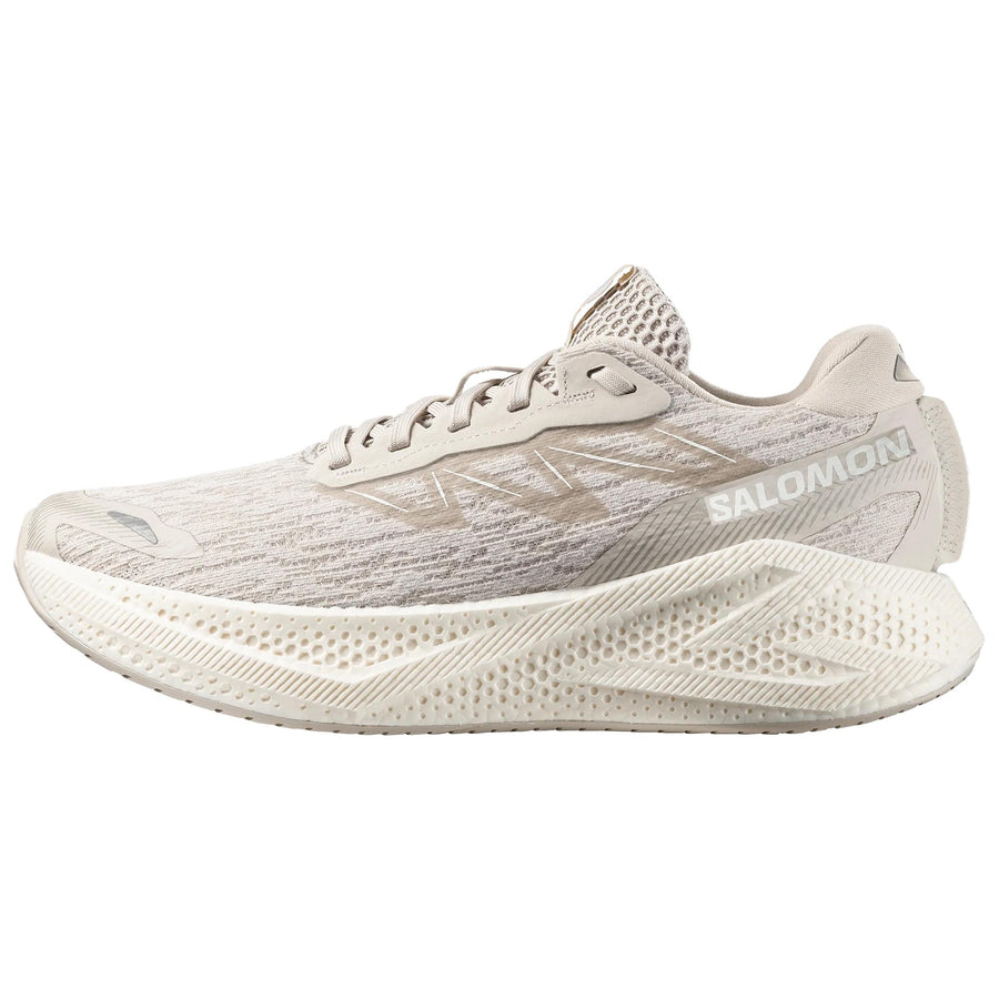 サロモン エアログライド Salomon Aero Glide 4 "Silver Cloud" L49147200