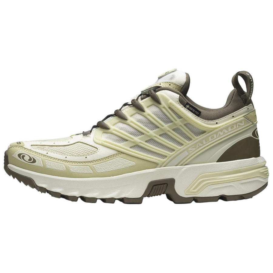 サロモン ACS プロ Salomon ACS Pro GORE-TEX "Vanilla Ice/Green Haze/Stone Gray" L47736200