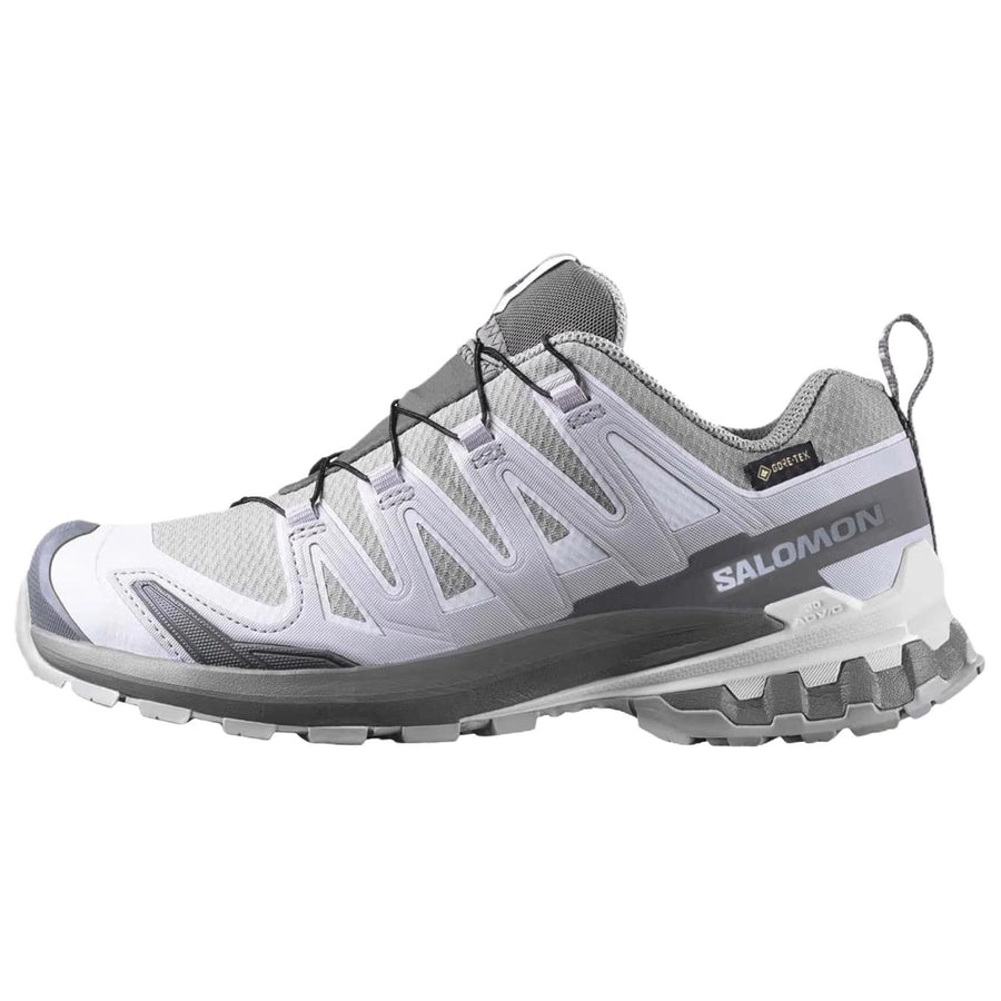 サロモン Salomon Women's XA Pro 3D V9 GORE-TEX "Alloy/Castlerock" L45412000