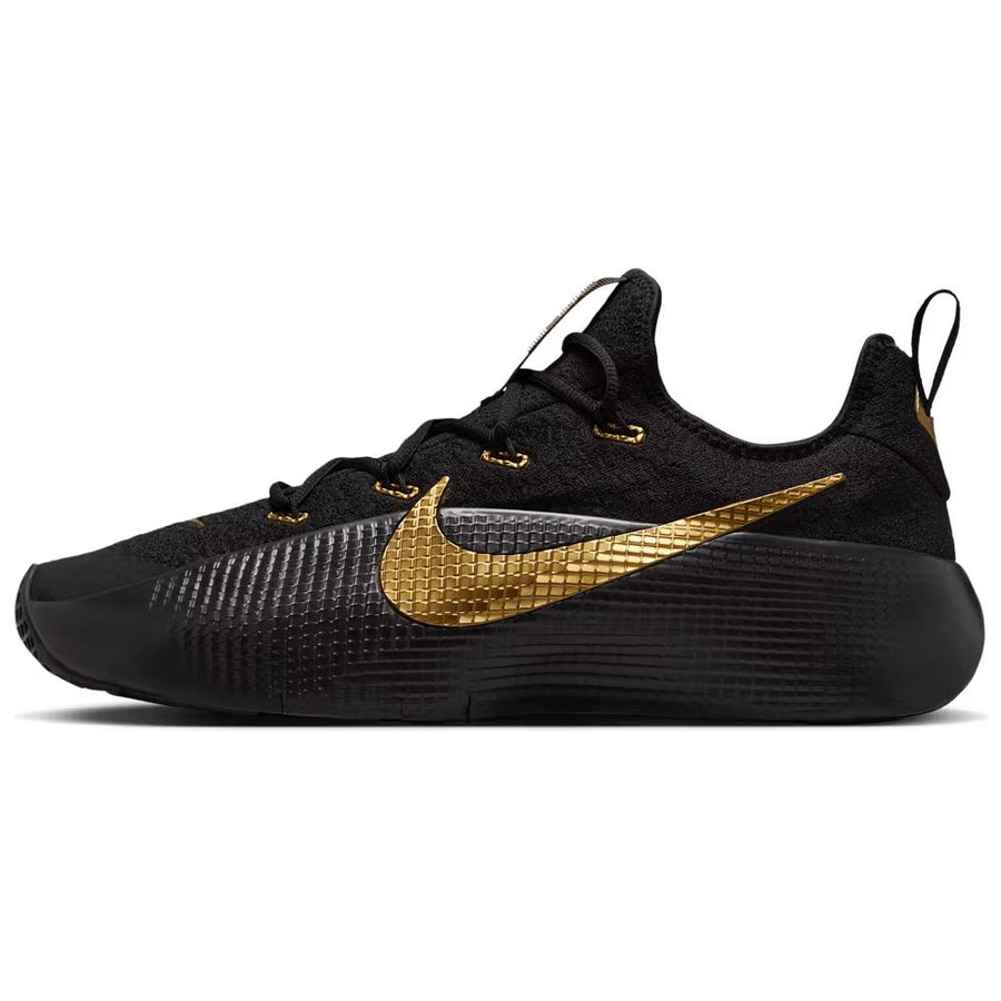 ナイキ レブロン Nike LeBron TR 1 "Black/Metallic Gold" FJ6151-004