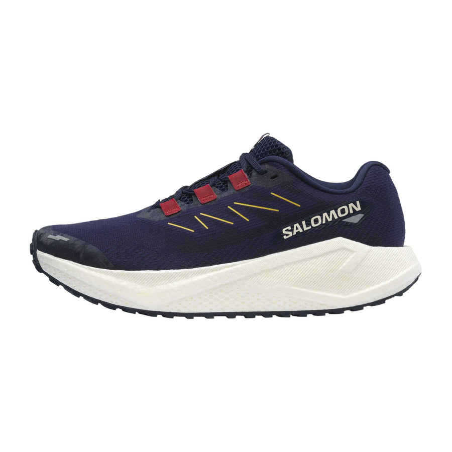サロモン エアロブレイズ Salomon Aero Blaze 3 GRVL "Astral Aura/Maritime Blue/Haute Red" L47915400