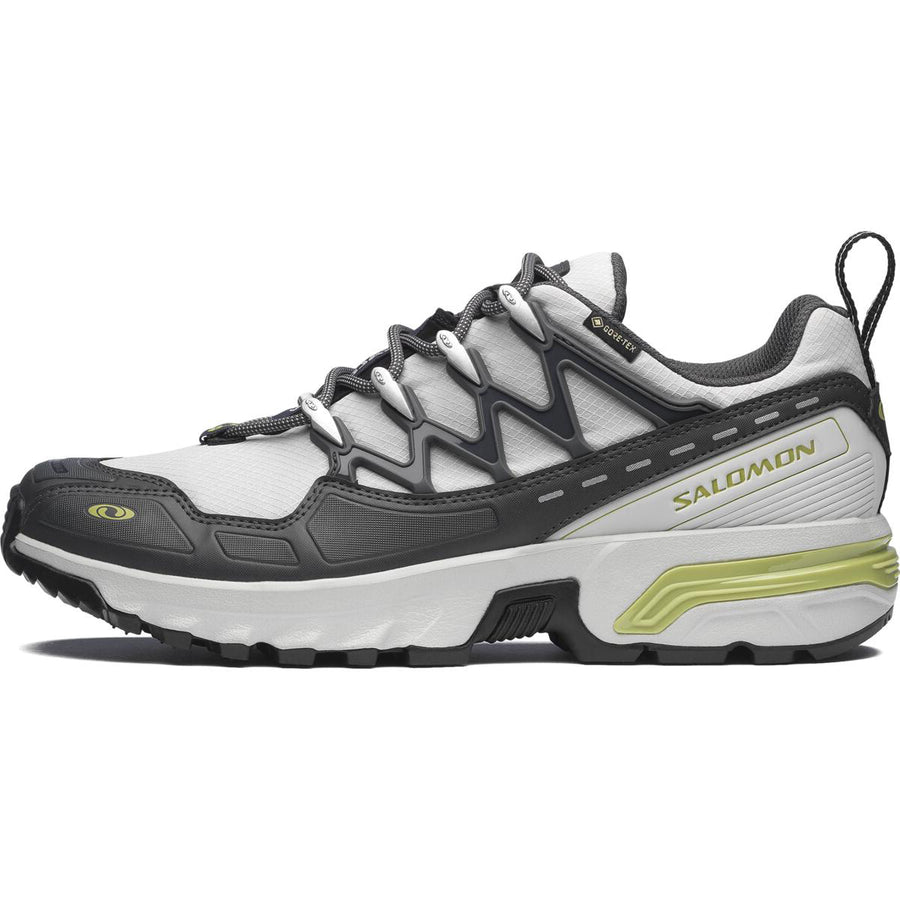 サロモン ACS+ Salomon ACS+ GORE-TEX "Gray Violet/Asphalt/Sweet Pea" L47858100