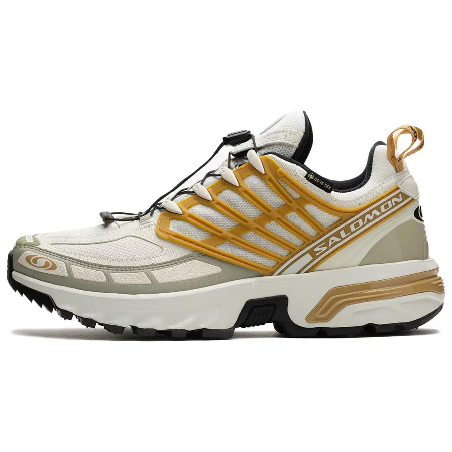 サロモン ACS プロ Salomon ACS PRO GORE-TEX "Icicle/Antelope/Tea" L47599800