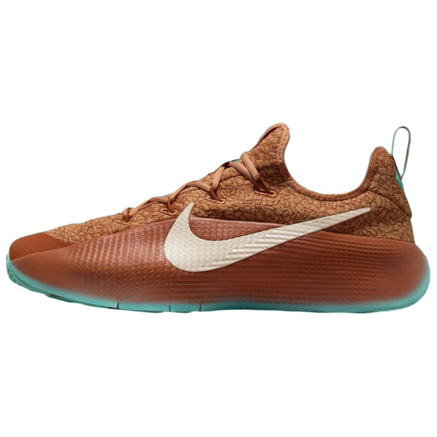 ナイキ レブロン Nike LeBron TR 1 "Better With Age" FJ6151-200