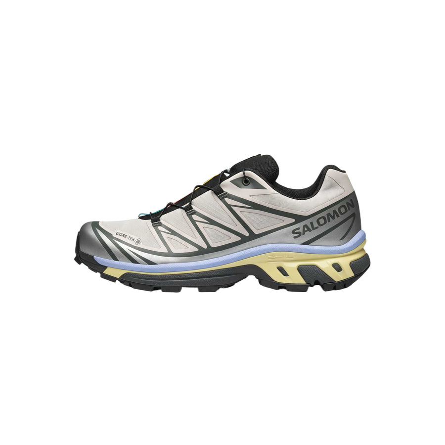 サロモン XT-6 Salomon XT-6 GORE-TEX "Silver Cloud/Urban Chic/Shadow Green" L49216100