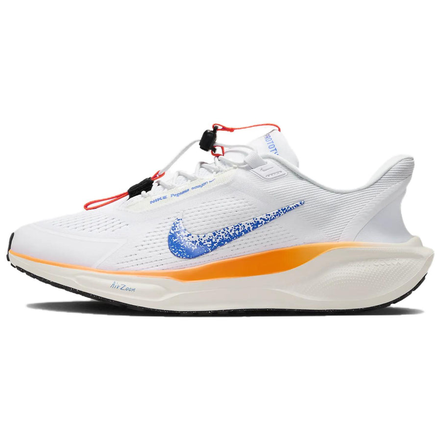 ナイキ ペガサス Nike Pegasus EasyOn Blueprint "Multi Color" HM0374-900