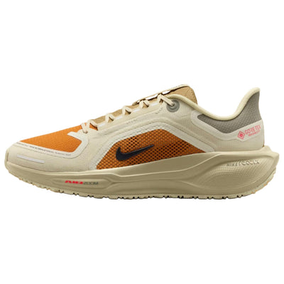 ナイキ ペガサス Nike Women's Pegasus 41 GORE-TEX "Running Poets" IM6700-852
