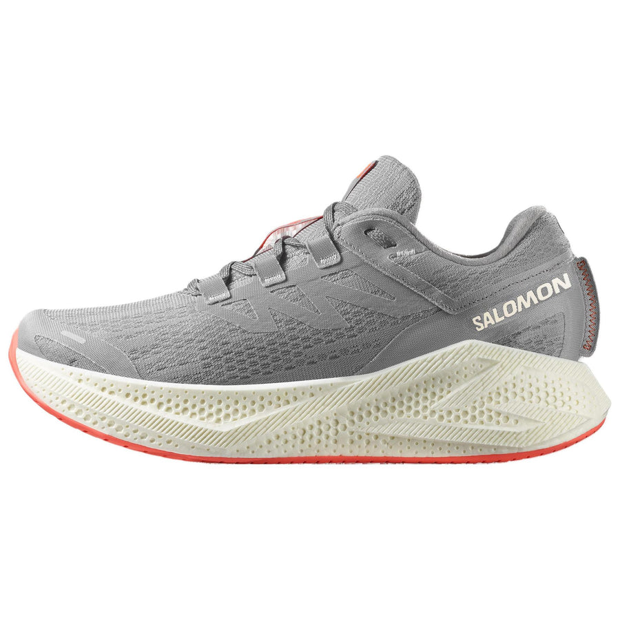 サロモン エアログライド Salomon Aero Glide 3 "Alloy/Vanilla Ice/Neon Flame" L47810600
