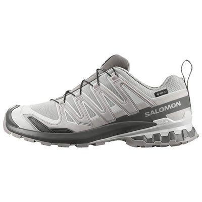 サロモン Salomon XA Pro 3D V9 GORE-TEX "Alloy/Castlerock" L49199100