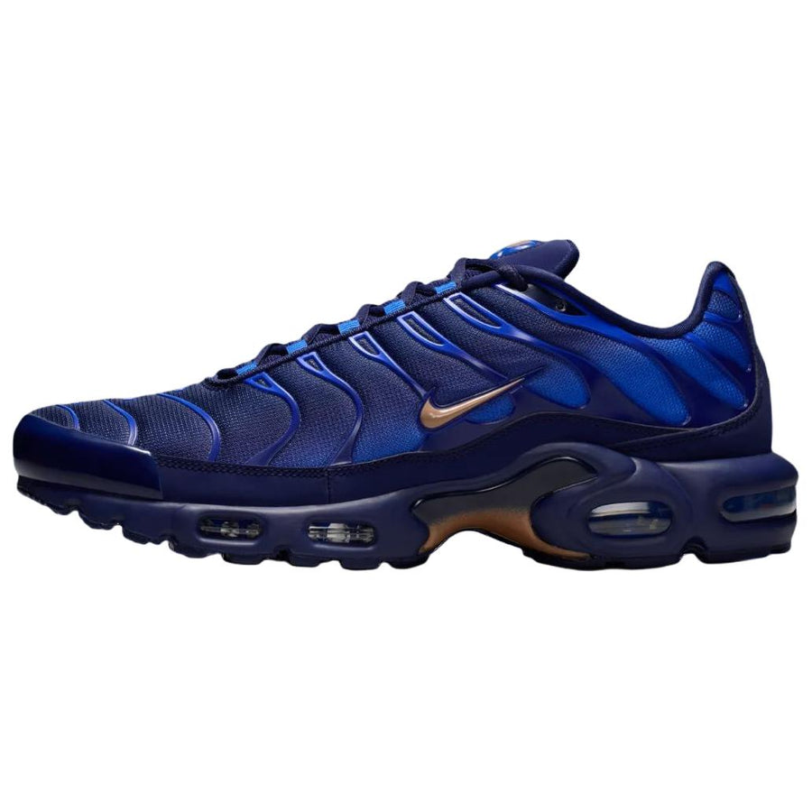 ナイキ エアマックスプラス Nike Air Max Plus OG "Blackened Blue/Game Royal" IQ0170-400