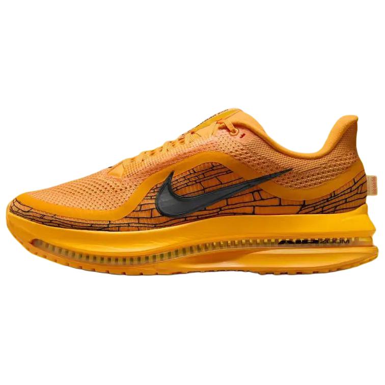 ナイキ ペガサス Nike Pegasus PRM LV8 "Modern Mayfly" IH3256-700