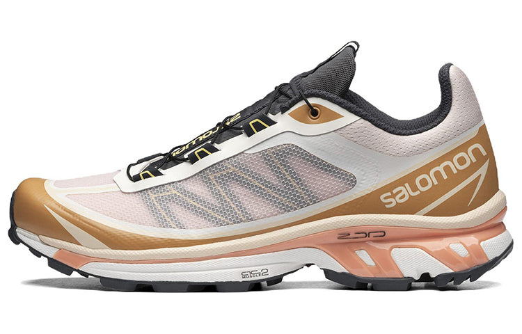 サロモン XT-6 Salomon XT-6 FT "Morganite Fenugreek" L41620500